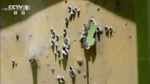 穿甲弹爆料视频,震撼爆料的军事武器实况解析