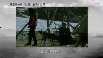 张艺谋电影最新爆料视频,幕后故事与创作灵感大公开